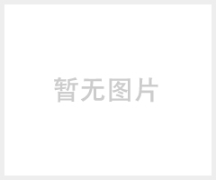 LHH-250SD药品稳定性试验箱品牌